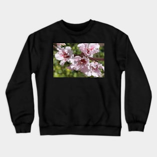 Blooming Branch Crewneck Sweatshirt